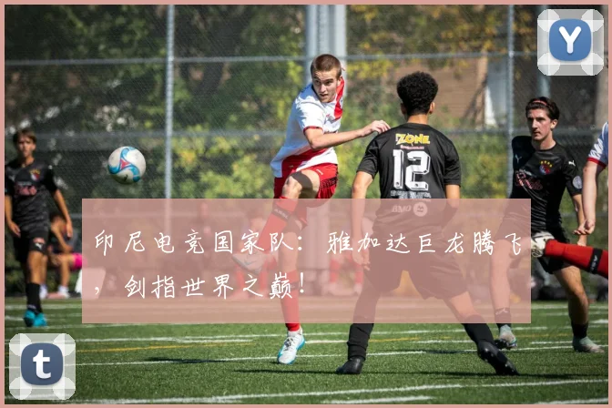 印尼电竞国家队:雅加达巨龙腾飞,剑指世界之巅!