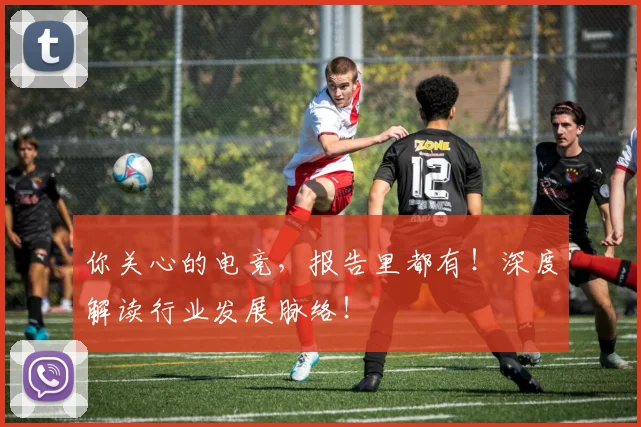 你关心的电竞，报告里都有！深度解读行业发展脉络！