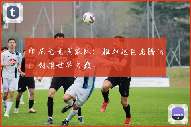印尼电竞国家队:雅加达巨龙腾飞,剑指世界之巅!