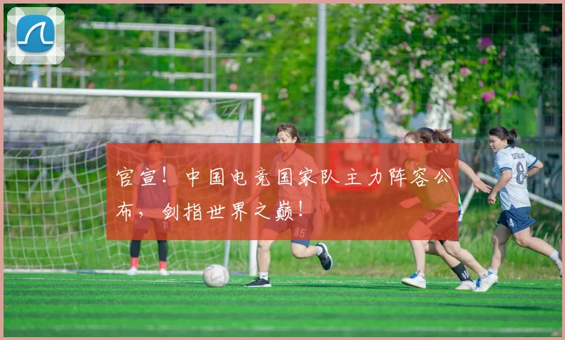 官宣！中国电竞国家队主力阵容公布，剑指世界之巅！